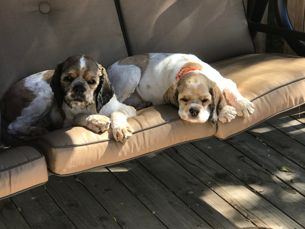 2018-06-08 09.43.46-1