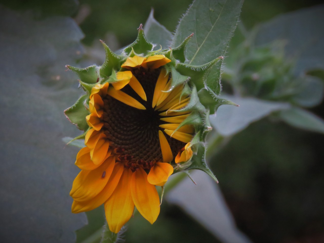 28315984_Unknown (2)