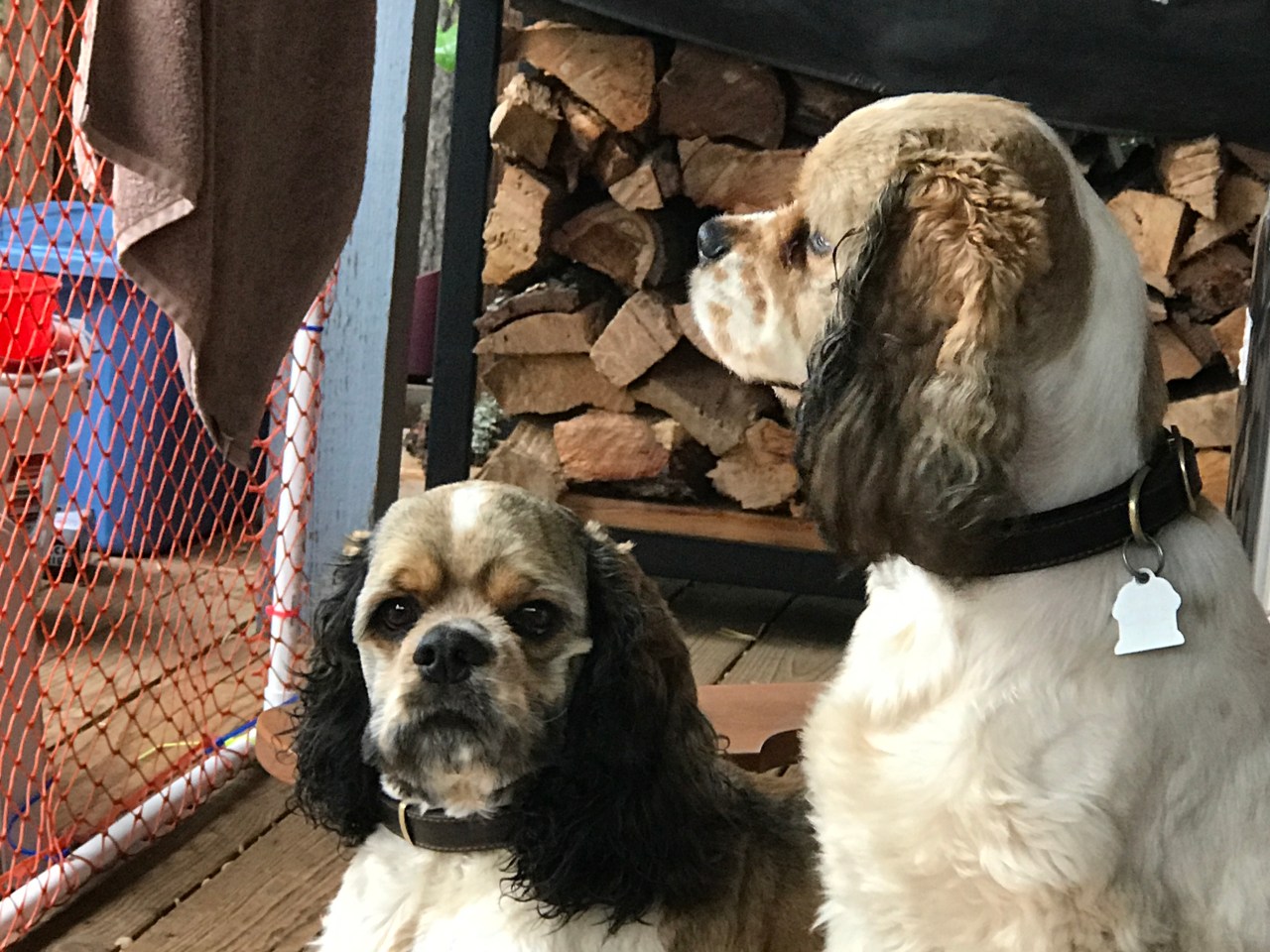 Mornings in Winter&nbsp;2