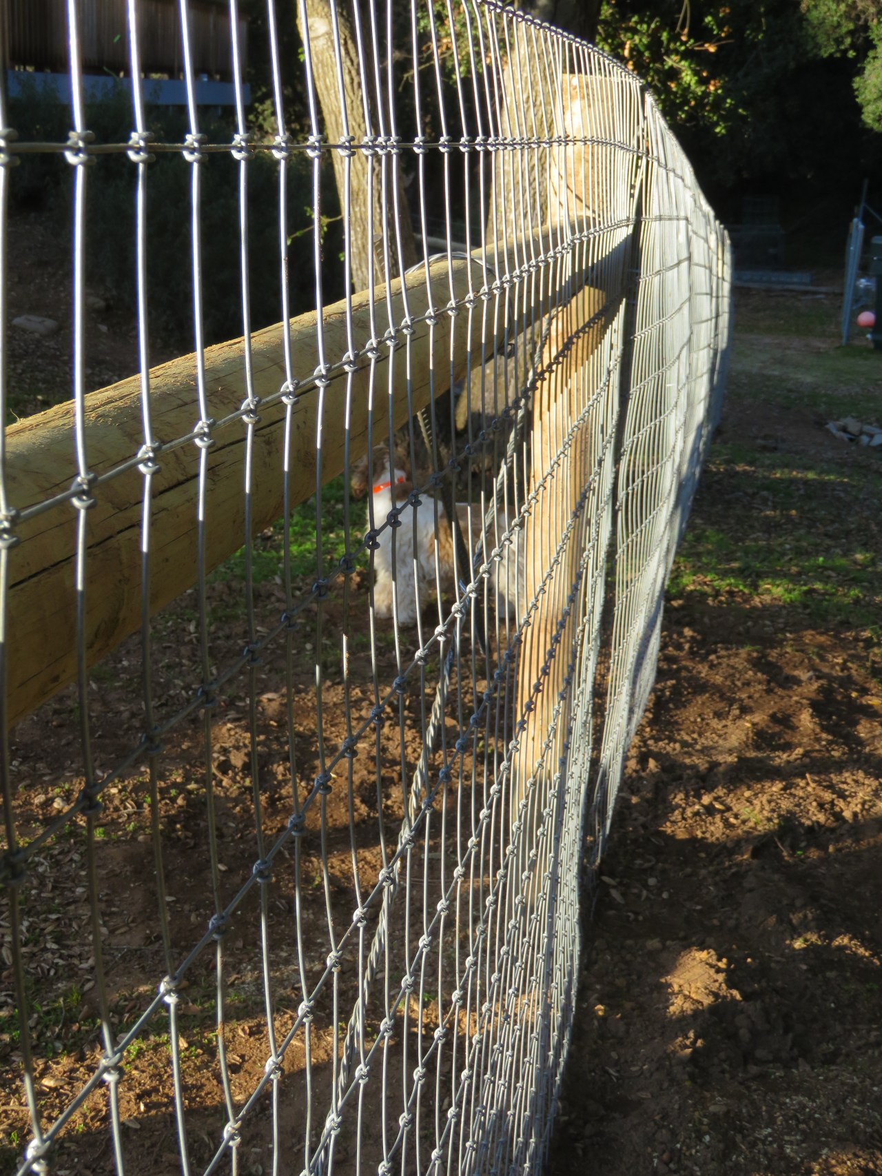 Please Fence Me&nbsp;In