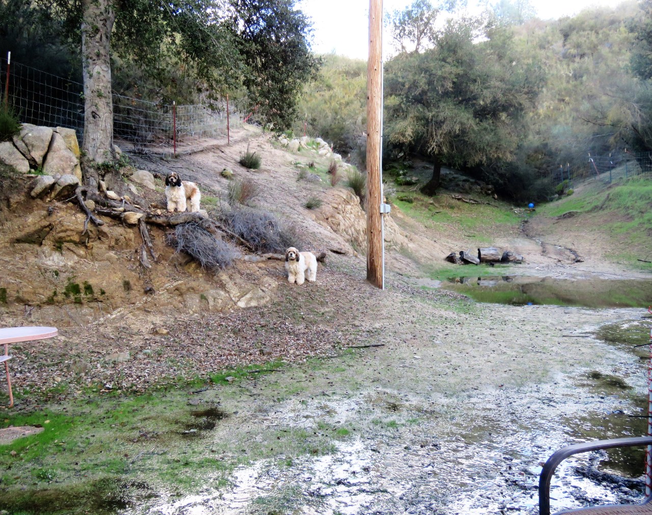 Mueller Lake with G& G