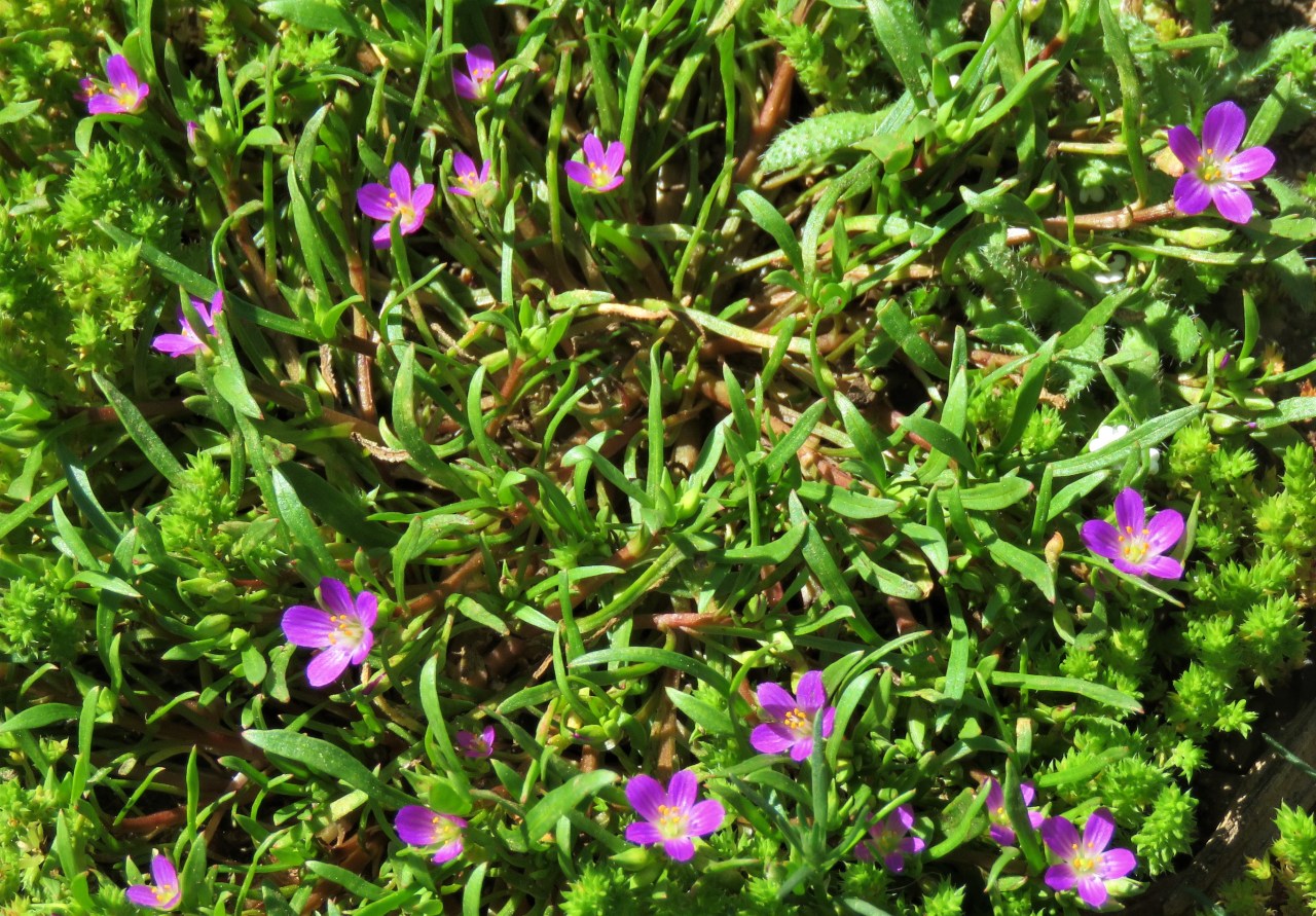 Home is Where the Heart&nbsp;Is