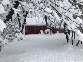 Snow on Thanksgiving