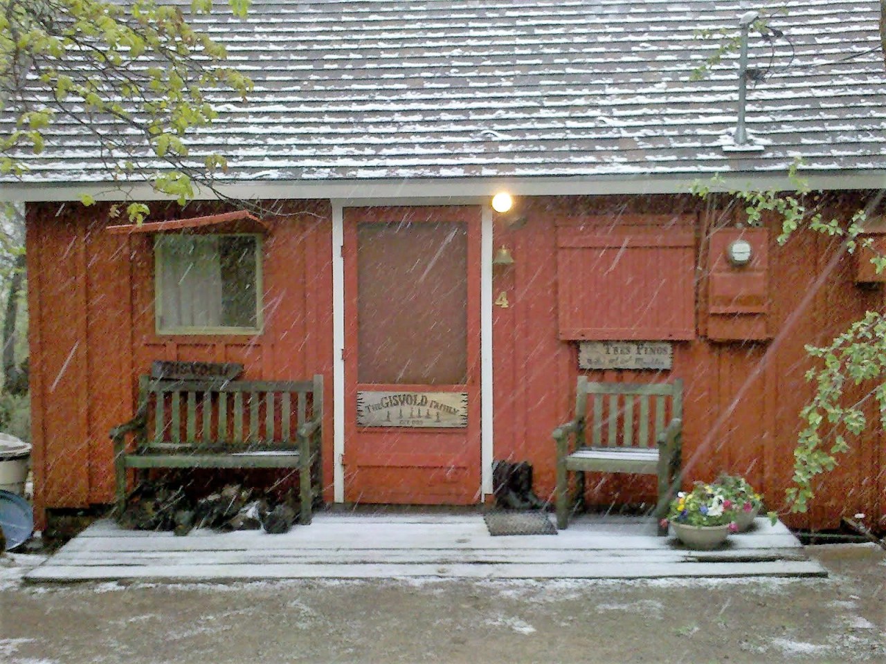 An Oasis in a&nbsp;Mars-scape